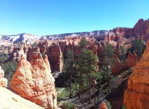 11752596_710168535753784_5125383265478783546_n