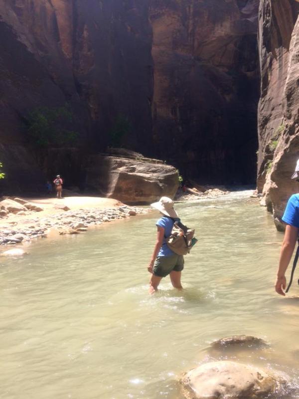 11402818_925903090765567_2377456431059436781_n