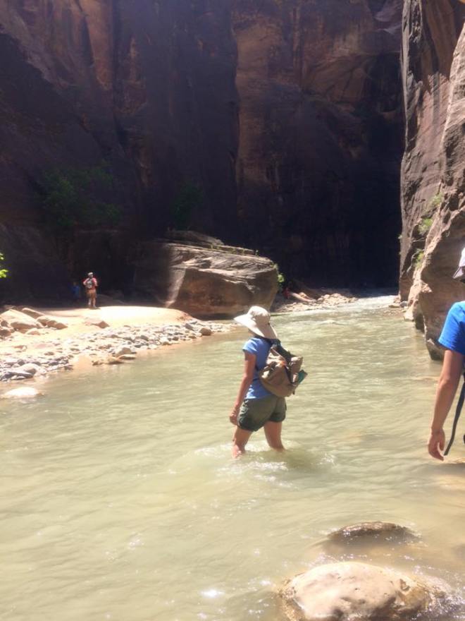 11402818_925903090765567_2377456431059436781_n