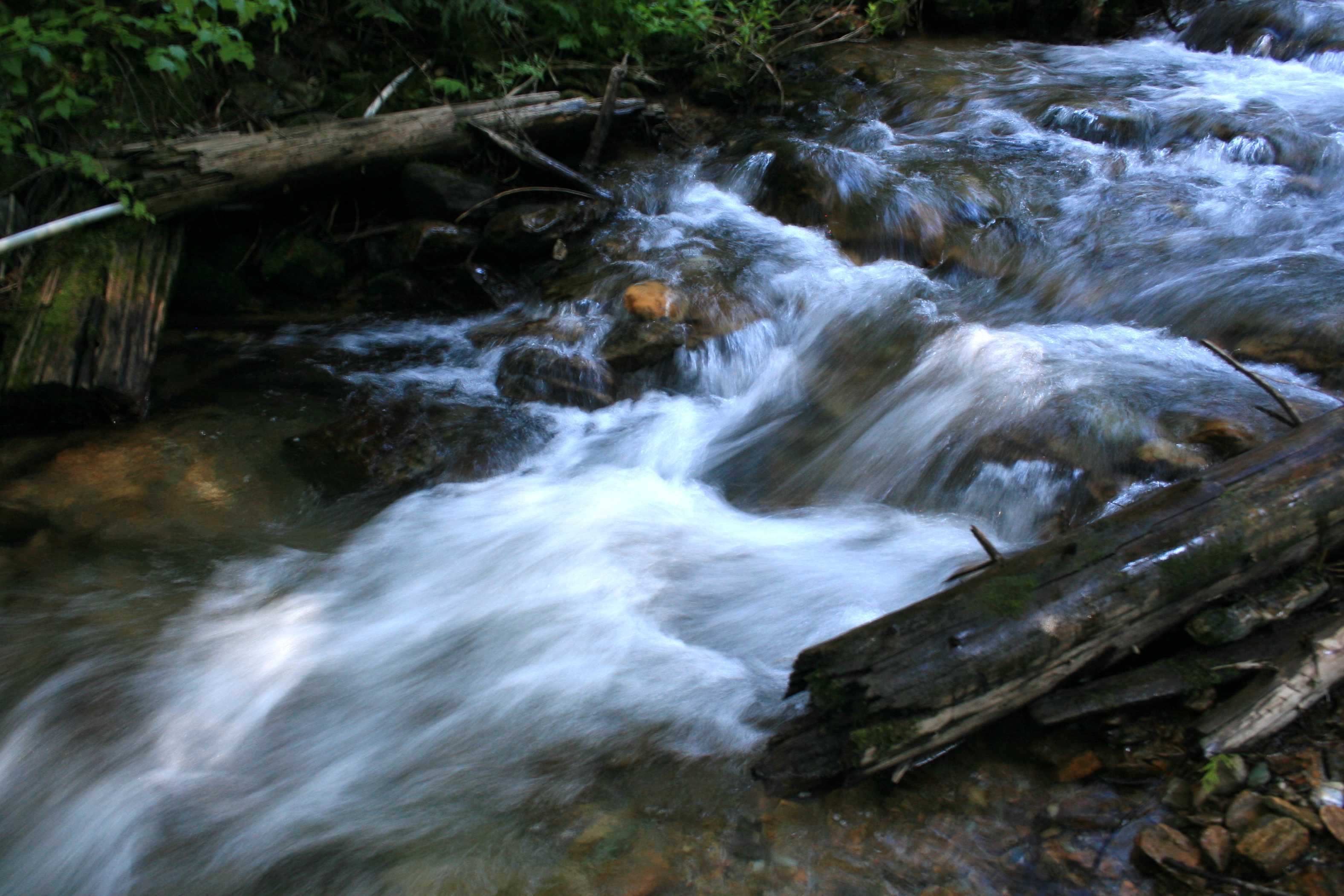 6a00e551c4c4d8883301543471b039970c