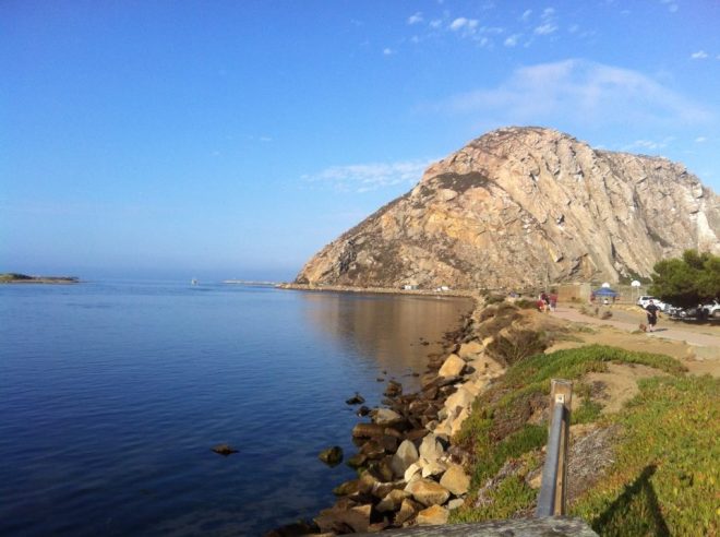 20604543_1194878280616138_8590296393800670390_n