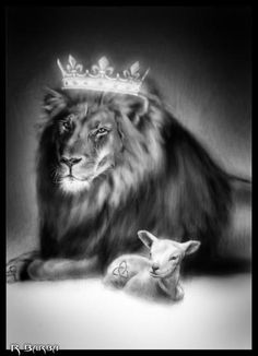 63e465bce6d7a22ee385e2193bf3d062--lion-and-lamb-the-lion