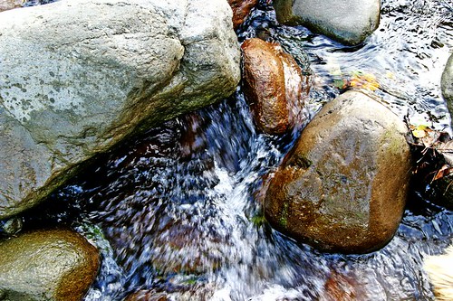 2196681972_2ea90fa4c2