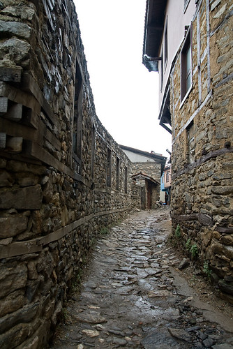 3571635736_1e7a8cd1b0