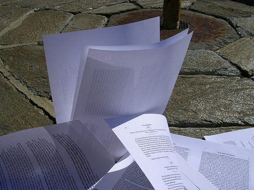 408997641_c33b385687